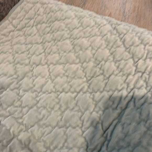 Pair of RARE Pottery Barn Aqua Washed Velvet and Silk Euro Shams - Picture 8 of 8